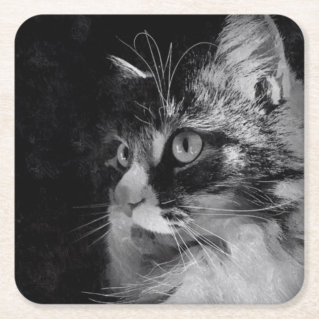 Siberian Cat Coasters (Front)