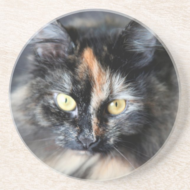Siberian Cat Drink Coaster (Front)