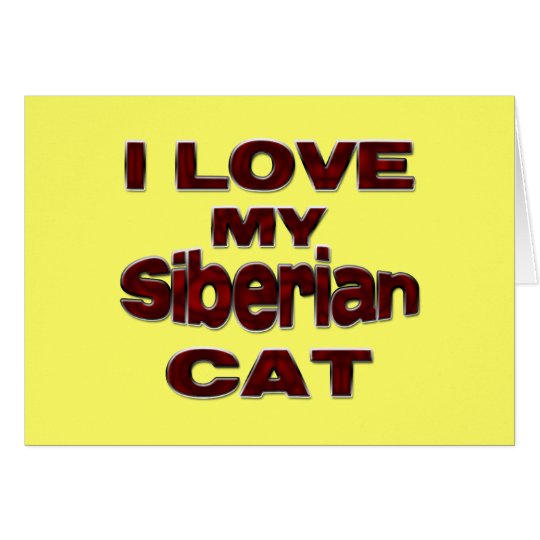 Siberian Cat drk Card