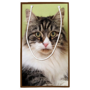 Siberian Cat Gift Bag