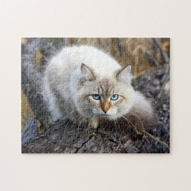 Siberian Cat In A Autumn Forest Jigsaw Puzzle (Horizontal)