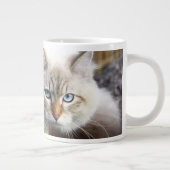 Siberian Cat In A Autumn Forest Large Coffee Mug | Zazzle