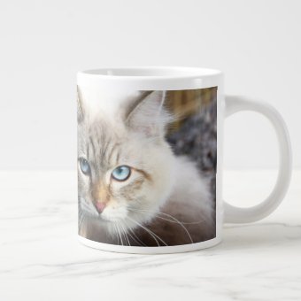 Siberian Cat In A Autumn Forest Large Coffee Mug | Zazzle