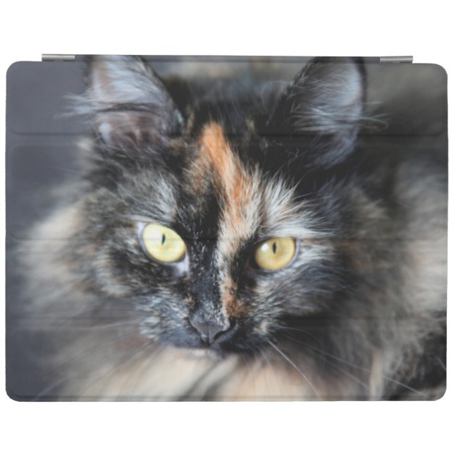 Siberian Cat iPad Smart Cover (Horizontal)