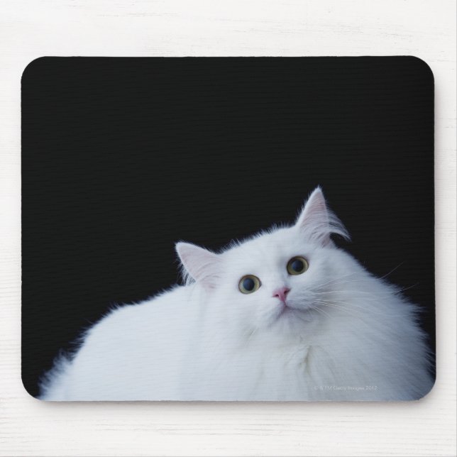 Siberian Cat Mouse Pad (Front)