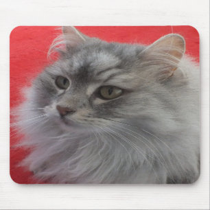 Siberian Cat Mousepad