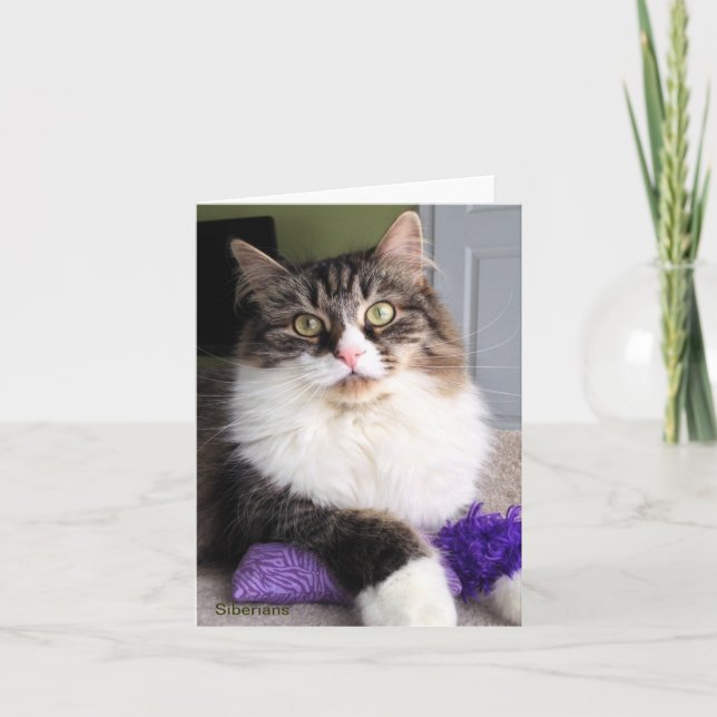 Siberian Cat Note Card (Front)