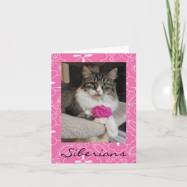 Siberian Cat Note Cards (Front)