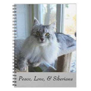 Siberian Cat Notebook