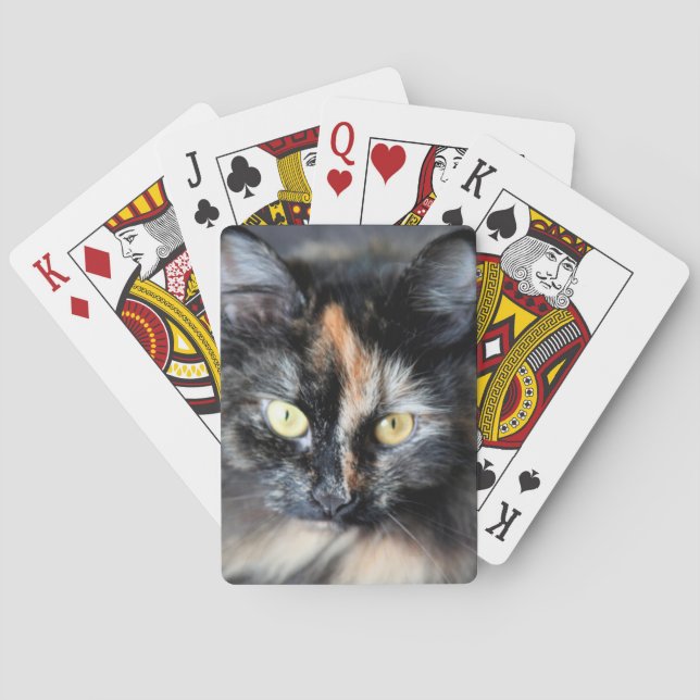 Siberian Cat Poker Cards (Back)