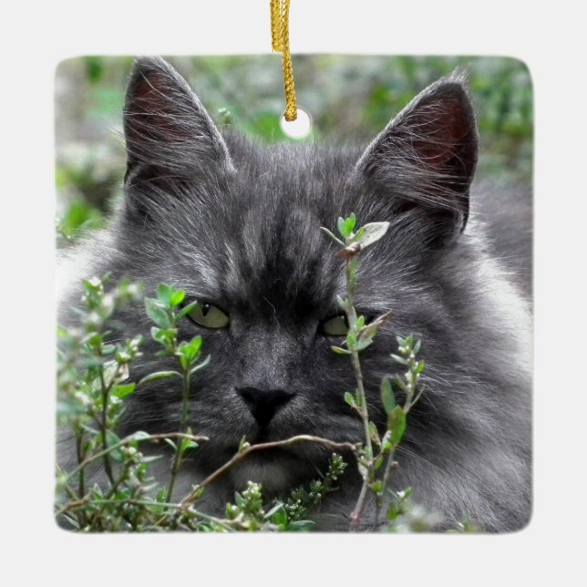 Siberian | Cat Portrait Ceramic Ornament (Front)