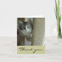 Siberian Cat Thank You Note Cards