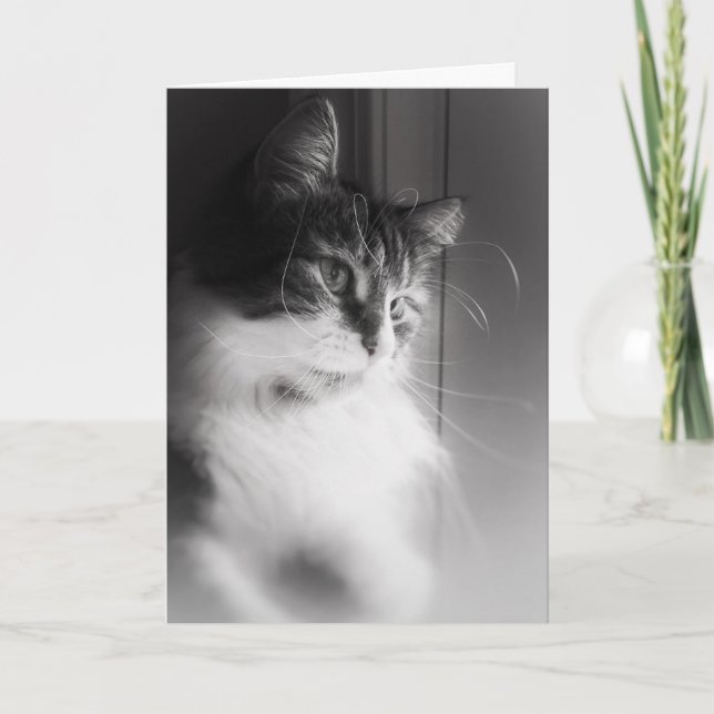 Siberian Cat Thinking of You Card (Front)