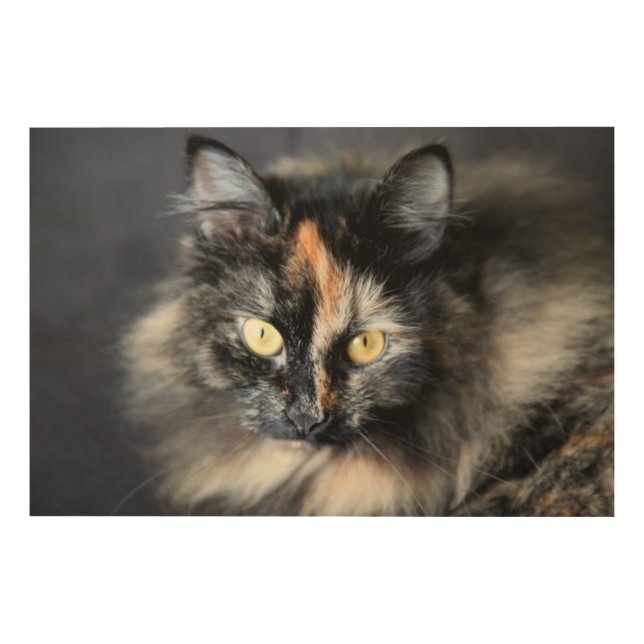 Siberian Cat Wood Wall Decor (Front)