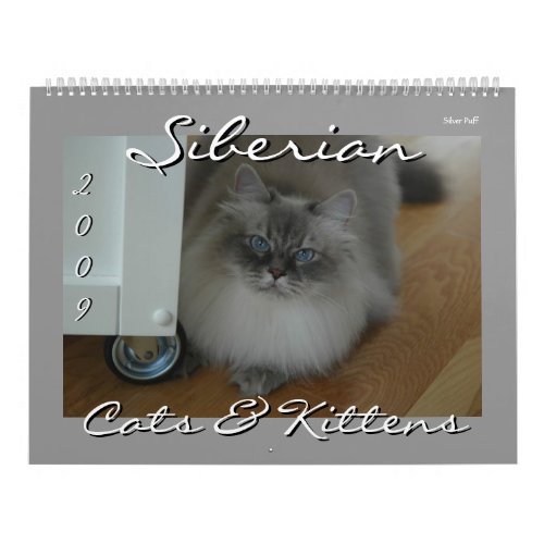 Siberian Cats and Kittens 09 Calendar