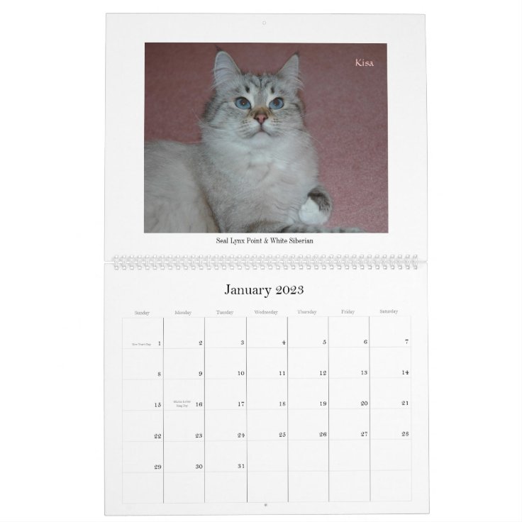 Siberian Cats and Kittens Calendar Final2 | Zazzle