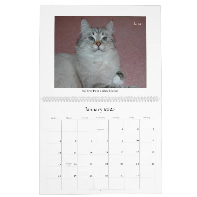 Siberian Cats and Kittens Calendar Final2 Zazzle