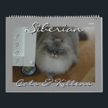 Siberian Cats and Kittens Calendar Final2<br><div class="desc">2009 Calendar of Siberian kitty photos by cat photographer/artist Nikki Wharton-Eby.</div>