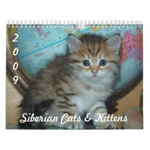 Siberian CATS Calendar 2009