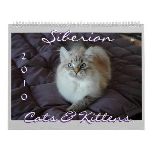 Siberian Cats & Kittens 2010 Calendar B