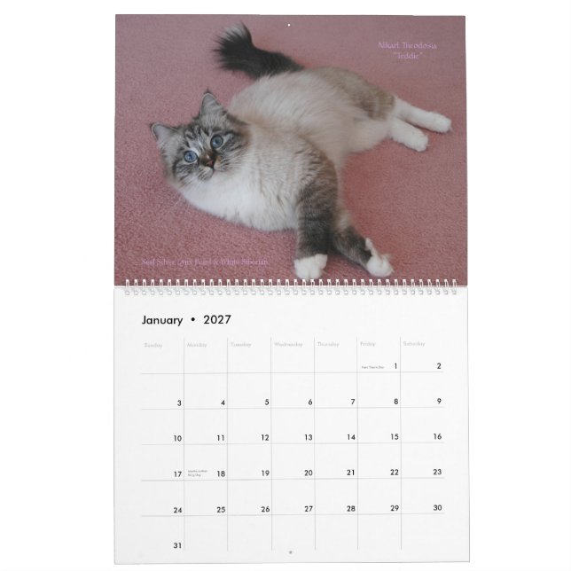Siberian Cats Kittens 2012 - 2013 Calendar (Jan 2027)