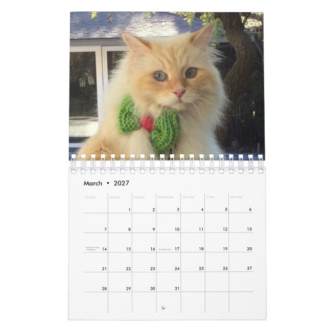 Siberian Forest Cat Calendar (Mar 2027)