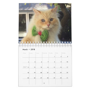 Siberian Forest Cat Calendar