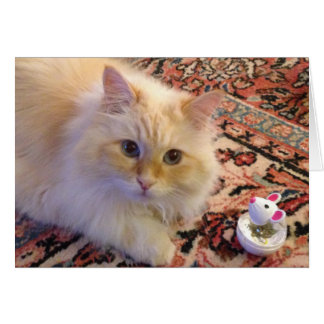 Siberian Forest Cat & Toy Cards