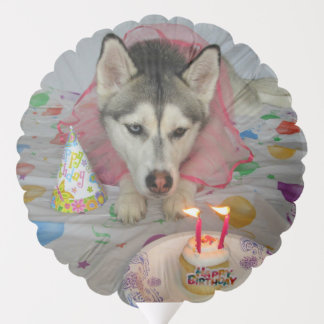 Siberian Huskies Birthday Balloon