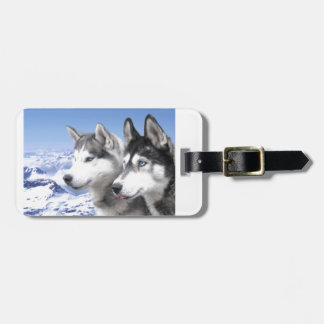 Siberian Huskies Luggage Tag
