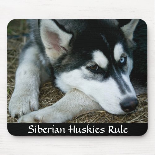 Siberian Huskies Rule Mousepad
