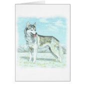 Siberian Husky (Front)