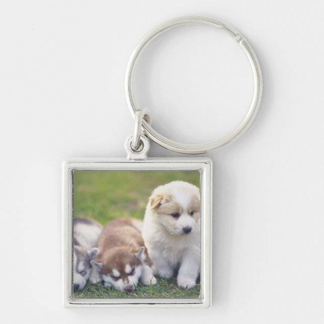 Siberian Husky; A working dog breed that Keychain (Front)