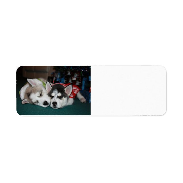 Siberian Husky Address lables Label (Front)