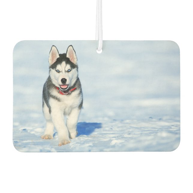 Siberian Husky Air Freshener (Front)