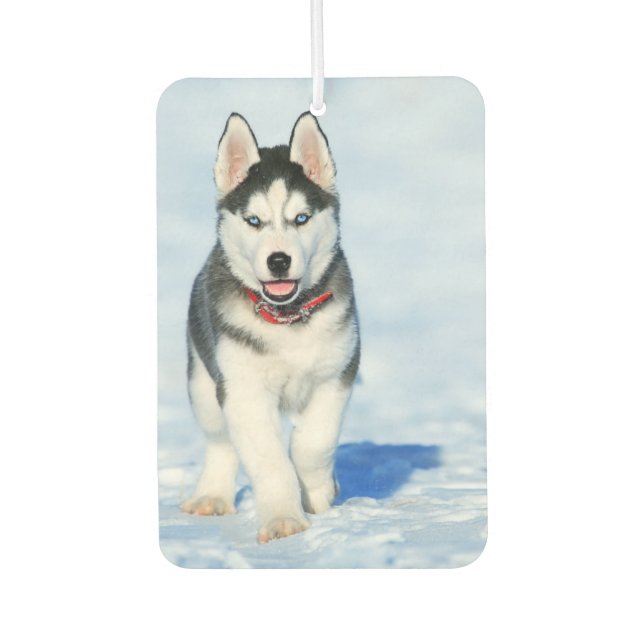 Siberian Husky Air Freshener (Front)