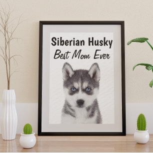 Siberian Husky Best Mom Poster