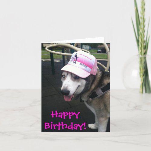 Siberian Husky Birthday Card