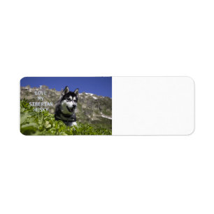 siberian husky black and white love w pic label
