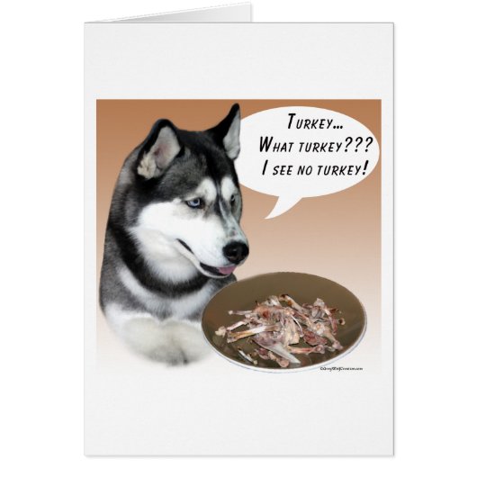 Siberian Husky (black) Turkey (Front)