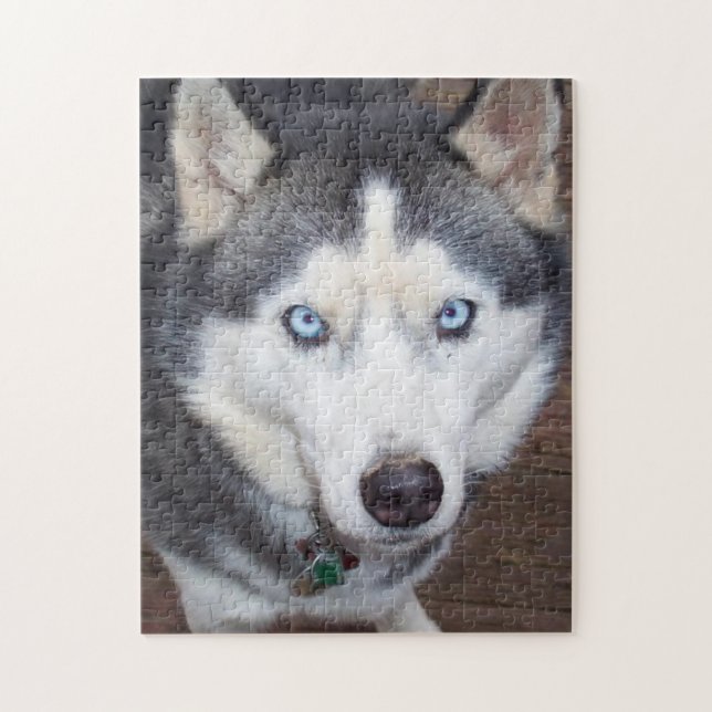 Siberian_Husky_blue-eyed.png Jigsaw Puzzle (Vertical)