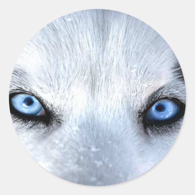 Siberian husky blue eyes classic round sticker (Front)