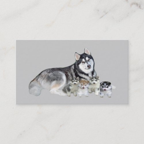 Siberian Husky Breeder Business Card