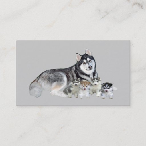 Customizable Siberian Husky Breeder Business Card