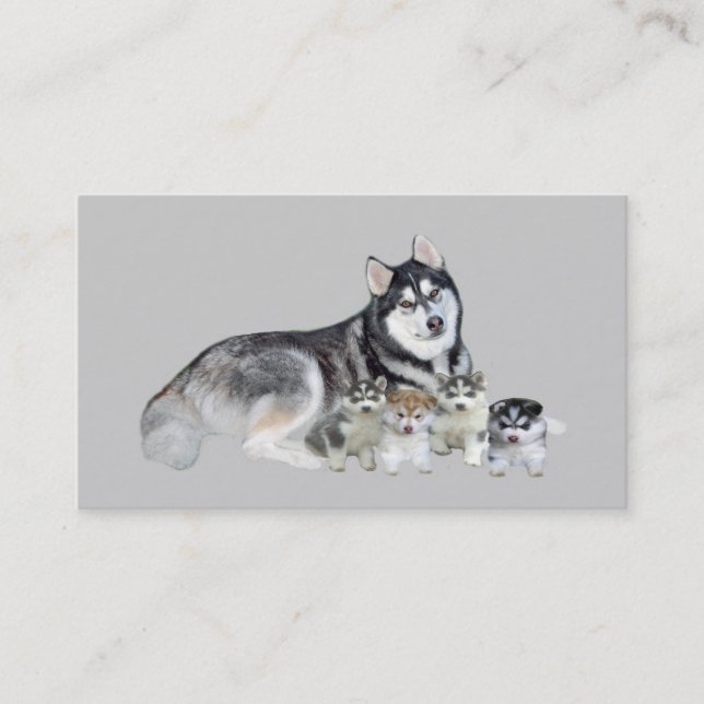 Siberian Husky Breeder Business Card (Front)