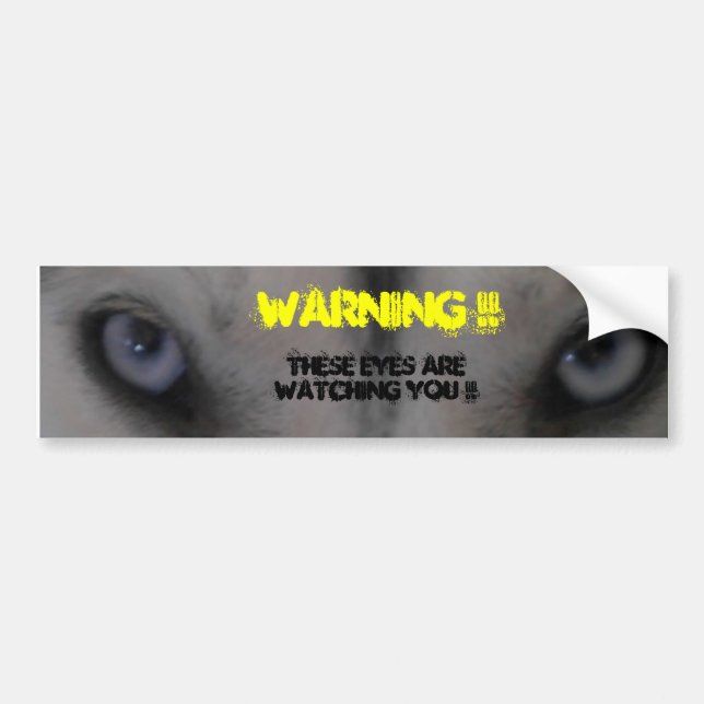 Siberian Husky Bumper Sticker (Front)