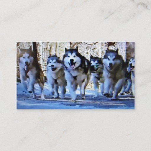 Customizable SIBERIAN HUSKY BUS / PERSONAL CARD BUSINESS CARD