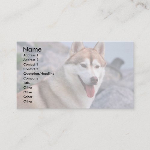 Siberian Husky Business Card