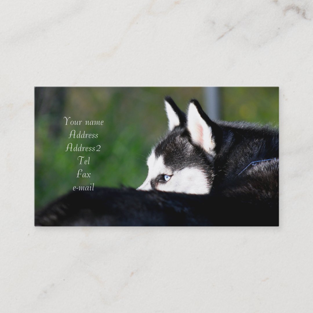 Siberian Husky business cards | Zazzle