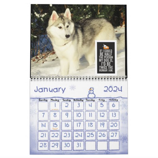 Siberian Husky Calendar Zazzle